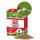 Trawa sportowa mieszanka traw SPORTMIX Biovita 20 m² 0,5 kg