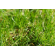 Trawa mieszanka traw uniwersalna Biovita 36 m² 0,9 kg UNIWERSALMIX
